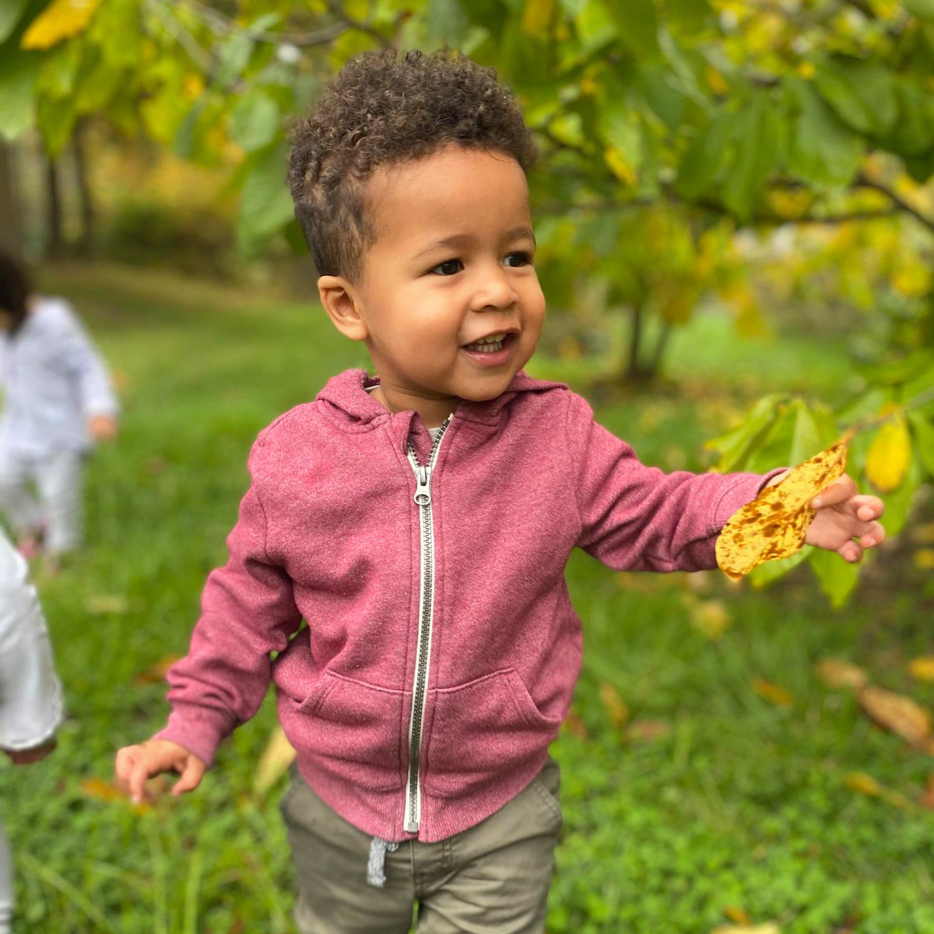 Toddler boy in grass